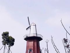 -金卉庄园