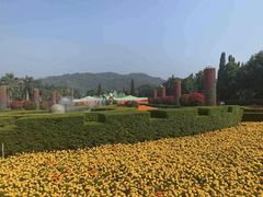 -东南花都花博园