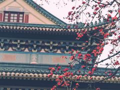 -广州中山纪念堂