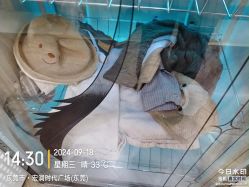 -小木马儿童摄影