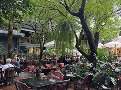 -Fern Forest Cafe