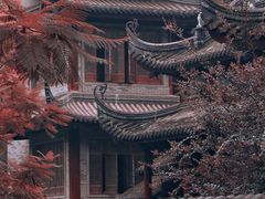 -龙潭水乡