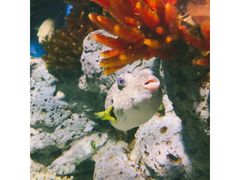 -福州罗源湾海洋世界旅游区