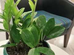 -瑞尔齿科(时代诊所)