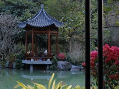 -云溪植物园
