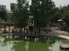 -北京鹿世界主题园