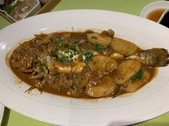 -高佳庄·舟山海鲜(海景旗舰店)