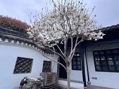 -绮园景区