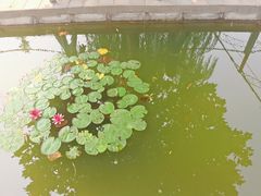 -河北村民俗体验园