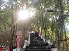 -老君山