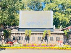 -上海共青森林公园