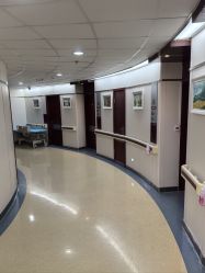 -复旦大学附属妇产科医院(杨浦院区)