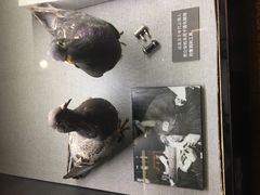 -上海公安博物馆