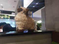 -九府羊·鲜羊火锅·烤串(新华路店)