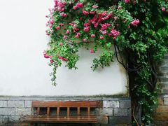 -老门东历史文化街区