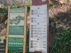 -金鸡山公园