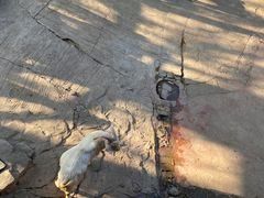 -长鹿旅游休博园