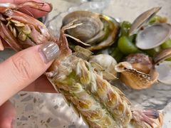 -白仁仔· 活烤海鲜 宵夜(豫园店)