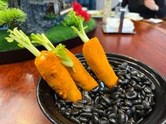 -丁老爷子苏香圆