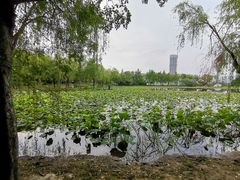-高子水居