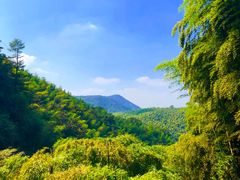 -藏龙百瀑风景区