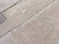 -肥仔记 面家