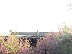-西安青龙寺遗址景区