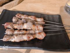 只撒盐的羊肉串-蒙料·手把肉(望京店)
