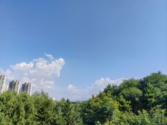 -清凉山国家森林公园