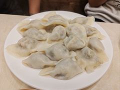 茴香猪肉水饺-枫林饺子