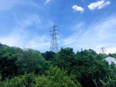 -西湖风景区-江洋畈生态公园
