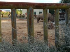 -鄂尔多斯野生动物园