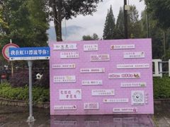 -虹口漂流