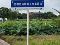 -梁鸿国家湿地公园