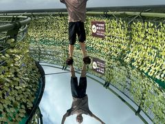 -黄海国家森林公园