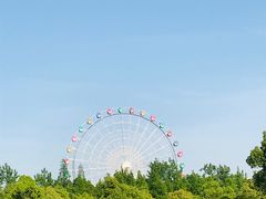 -洋湖国家湿地公园