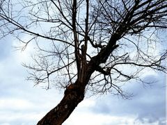 -硗碛藏寨·神木垒景区