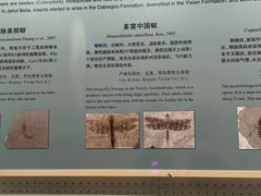 -辽宁古生物博物馆