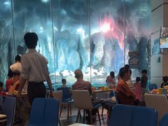 -帝企鹅自助餐厅•儿童岛•真企鹅(长隆企鹅酒店)