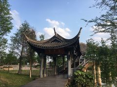 -眉山湿地公园(东坡区)