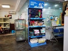 -暖阳宠物医院·犬猫康复中心·骨科