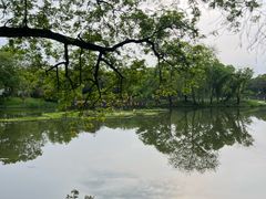 -西溪国家湿地公园