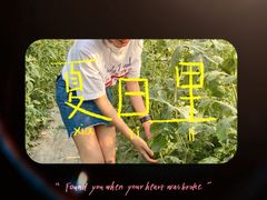 -庞各庄西瓜蔬菜采摘园·锦华瓜园