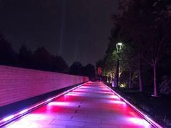 -唐城墙遗址公园