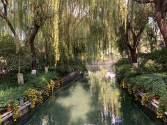 -趵突泉景区