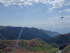 -大围山国家森林公园