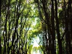 -同里国家湿地公园