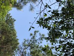 -南京市无想山景区