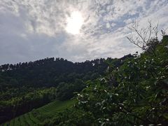 -敬亭山风景名胜区