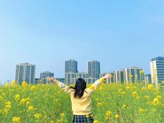 -南山植物园